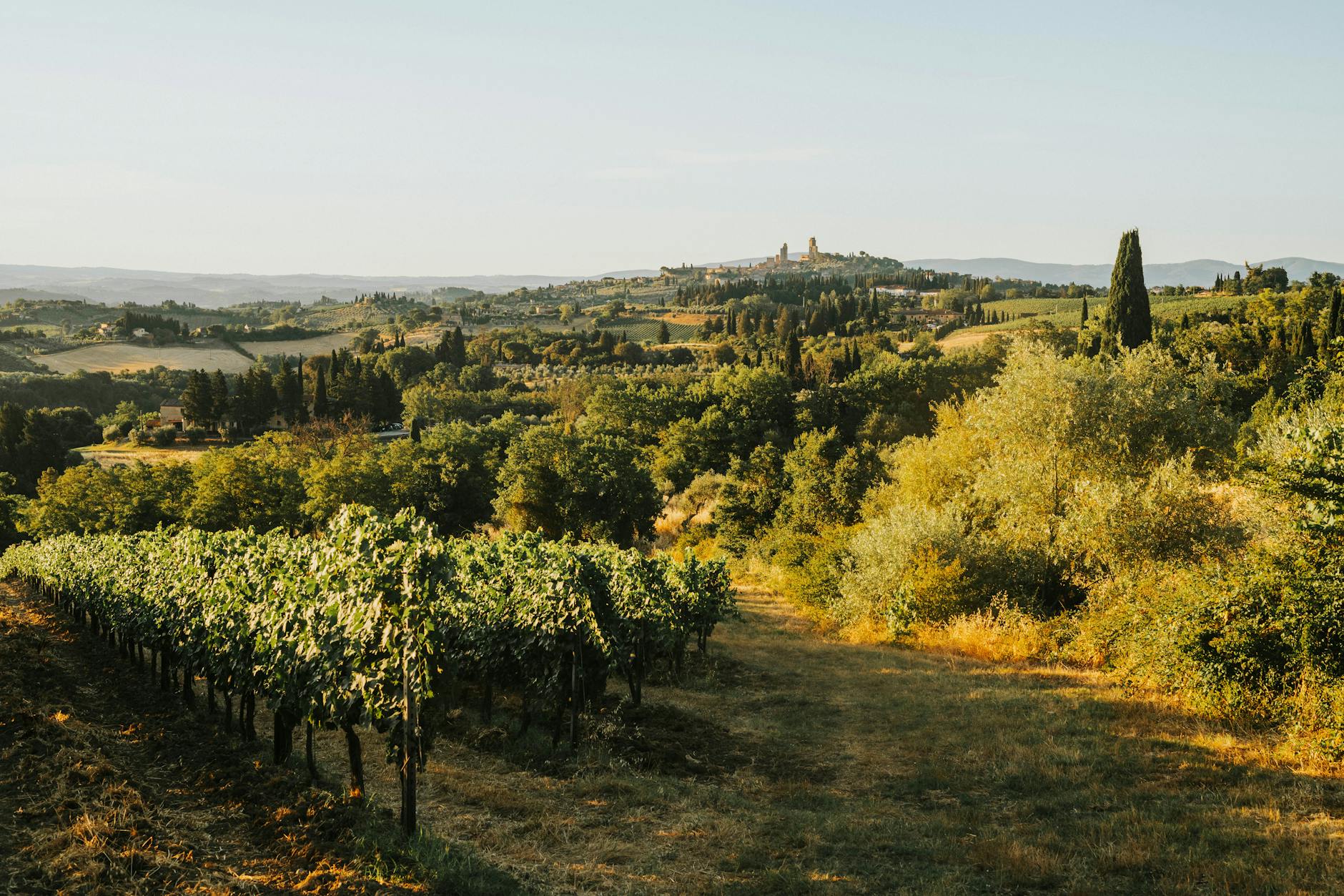 What is Caberlot, the rare cult grape from Tuscany? Our expert finds out